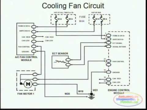 3 wire cpu fan wiring diagram