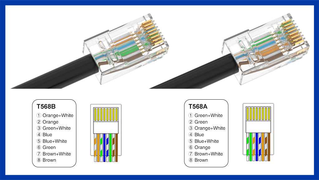 cat6 wiring diagram a or b