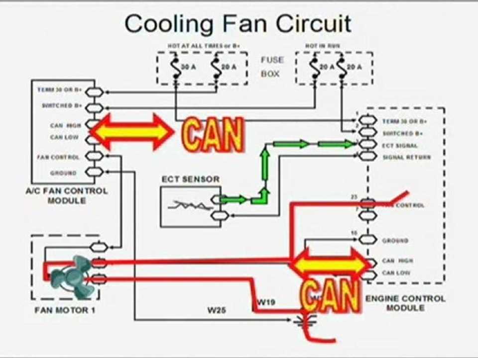 radiator cooling fan wiring diagram