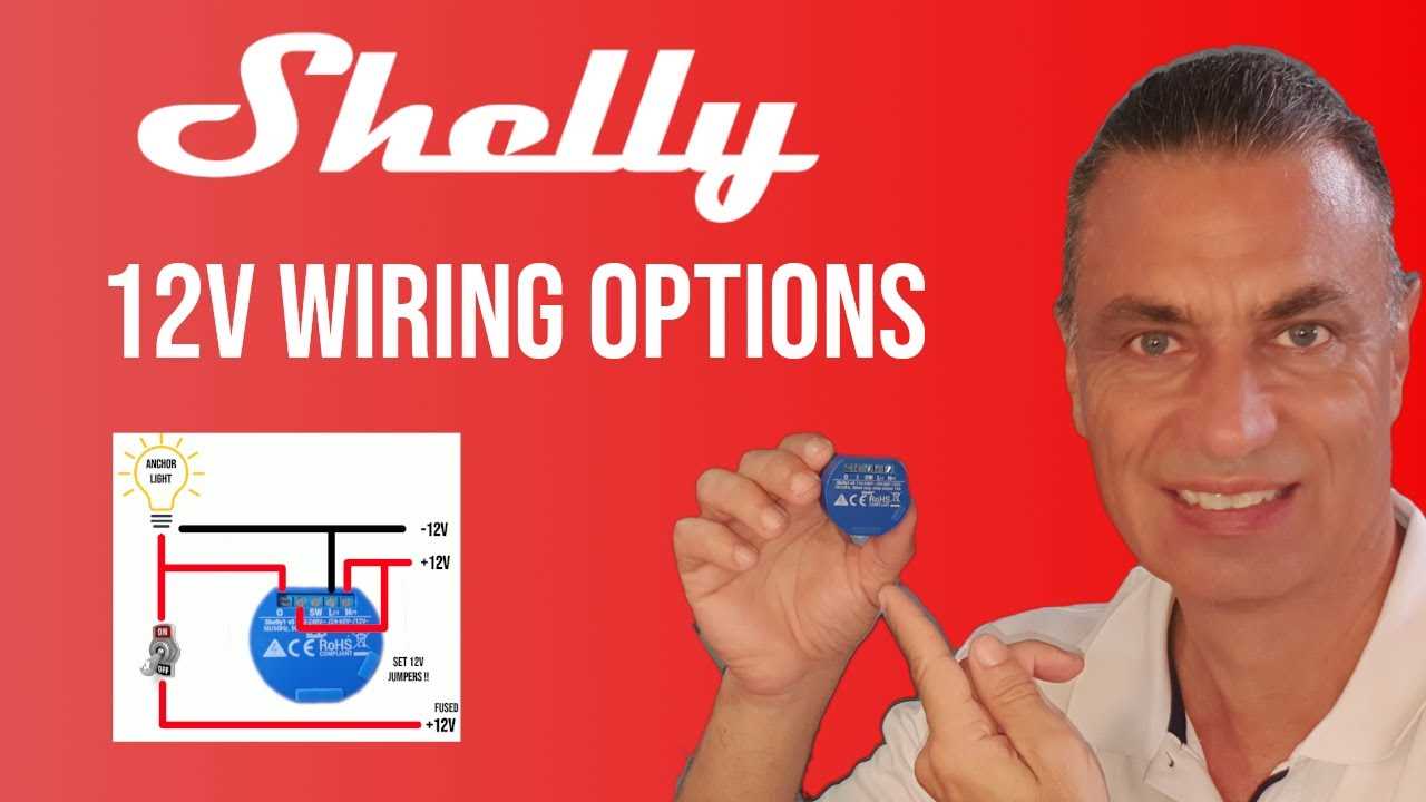 shelly plus 1 wiring diagram