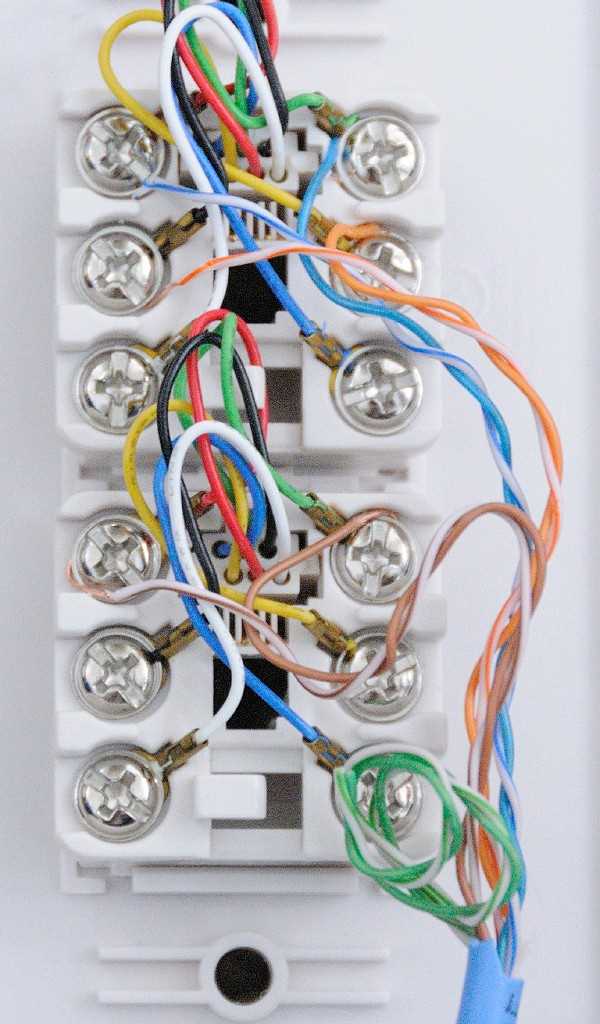 wiring diagram for phone jack