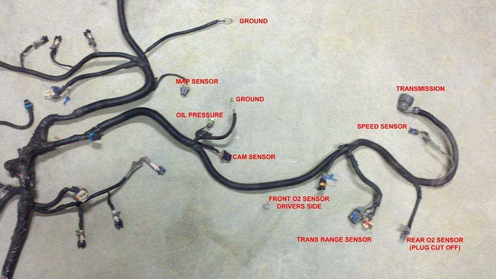 ls swap wiring diagram