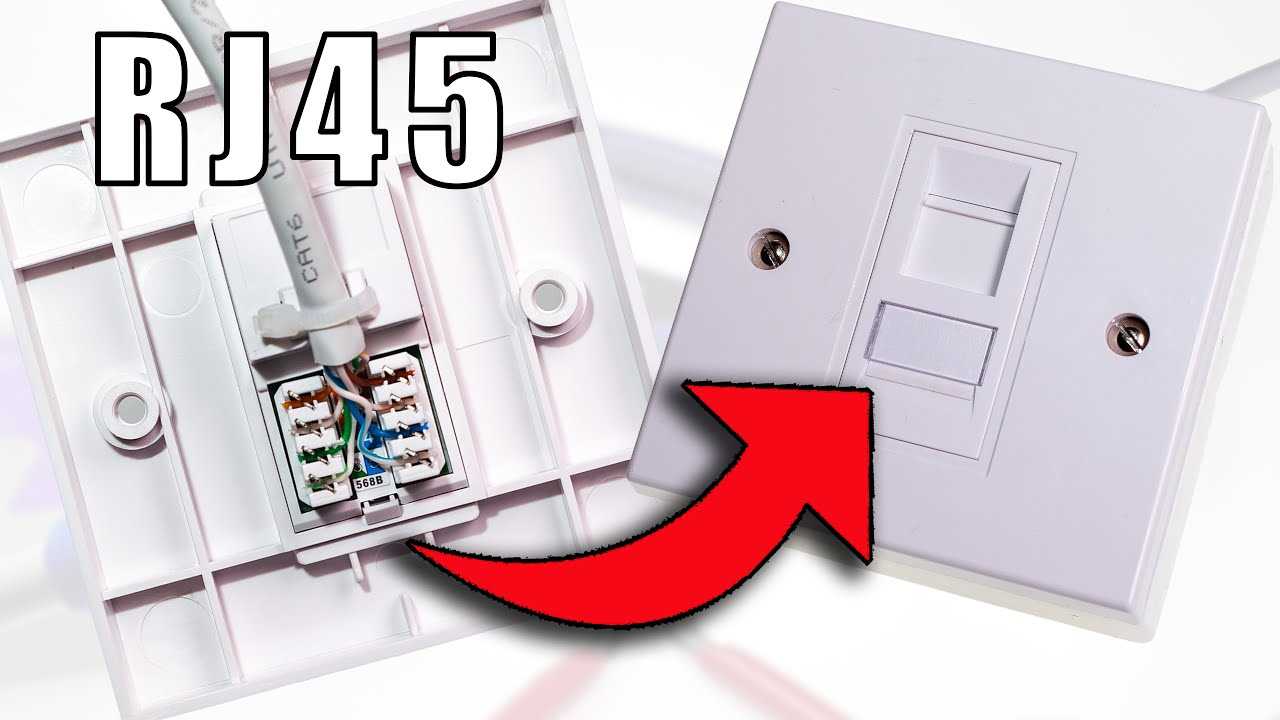 cat6 jack wiring diagram