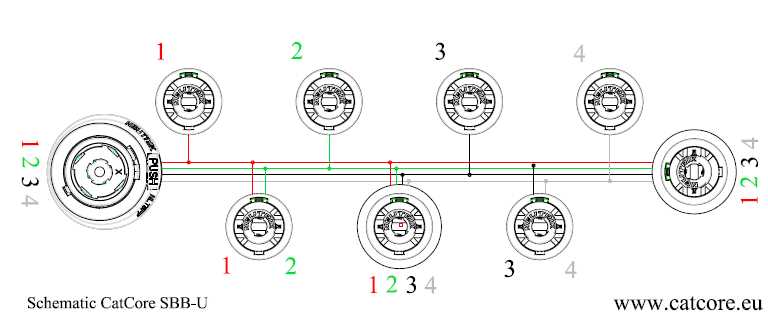 speakon connector wiring diagram