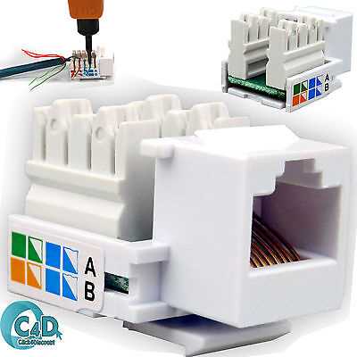 cat5 keystone jack wiring diagram