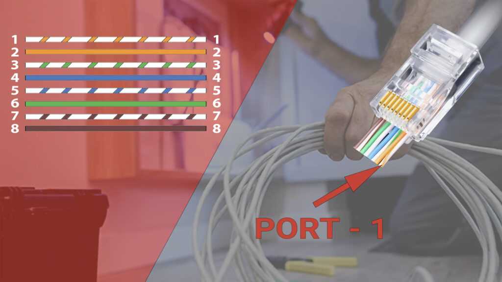 cat6 wiring diagram a or b