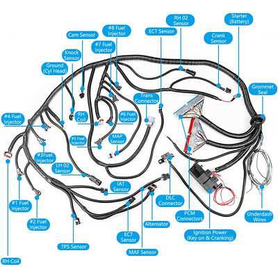 ls standalone wiring harness diagram