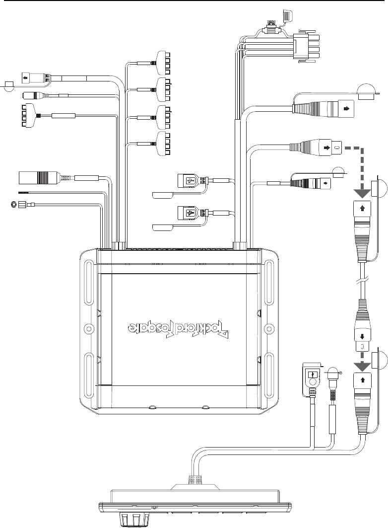 rockford fosgate wiring diagram