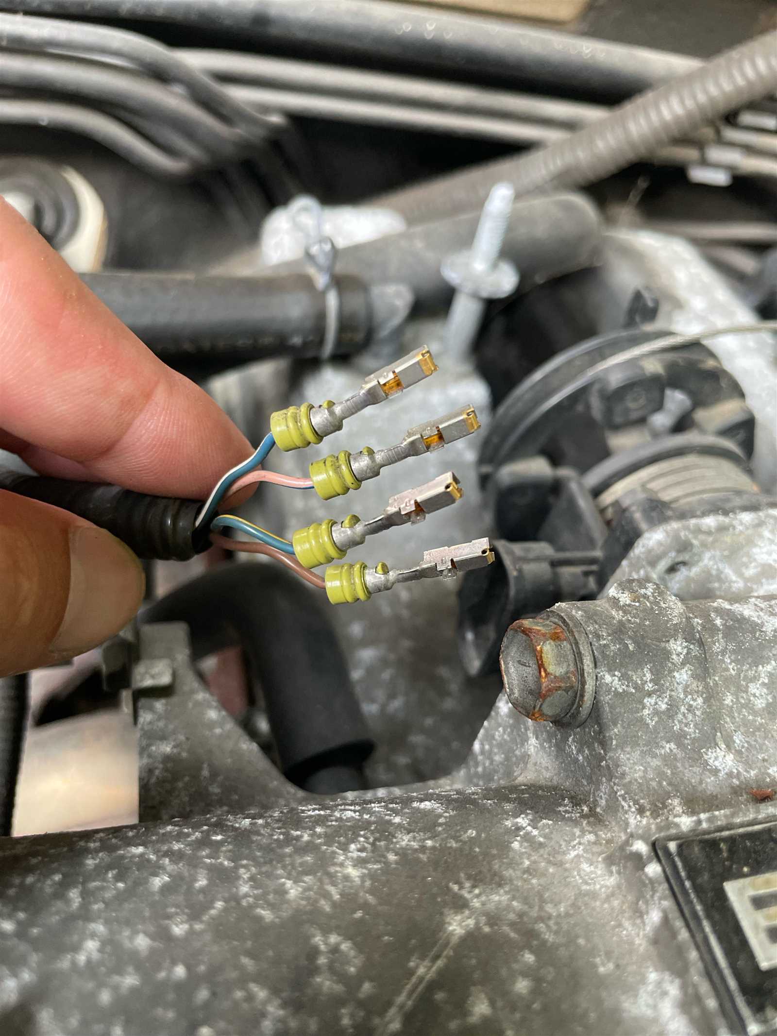 wiring diagram throttle body