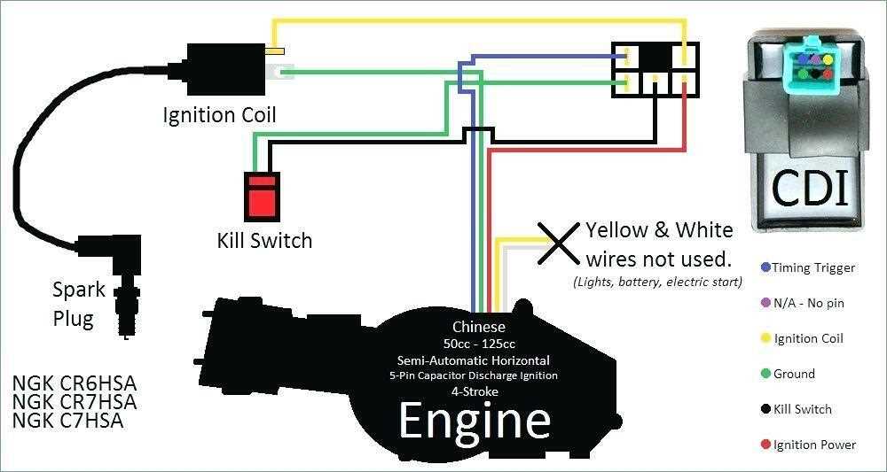 wiring diagram for pit bike