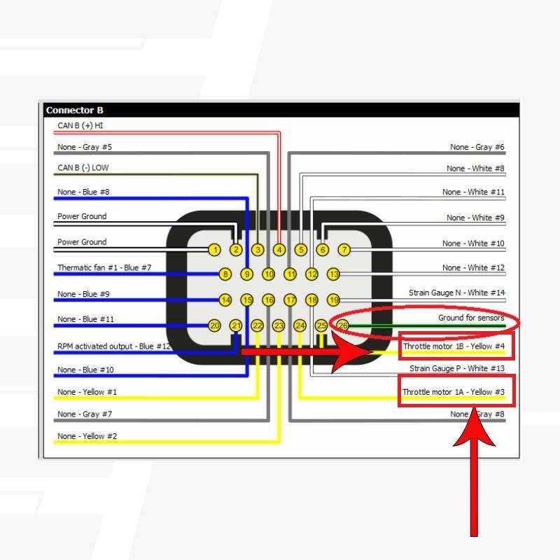 wiring diagram throttle body